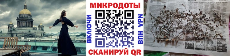 Псилоцибиновые грибы Psilocybe  Белинский 